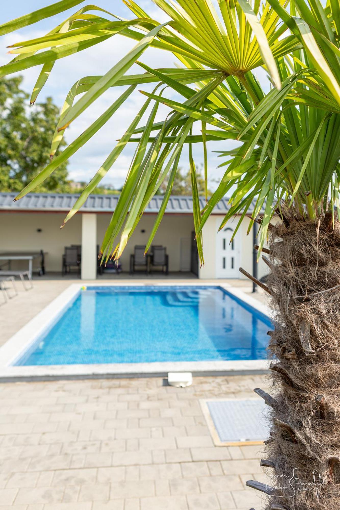Ludvig Panzio Bed & Breakfast Villany Ngoại thất bức ảnh